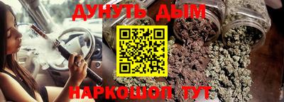 гашик Новозыбков