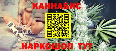 a pvp Новодвинск