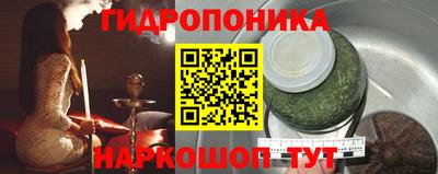 a pvp Новодвинск