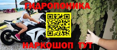 гашик Новозыбков
