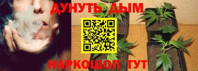 гашик Новозыбков