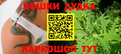 гашик Новозыбков