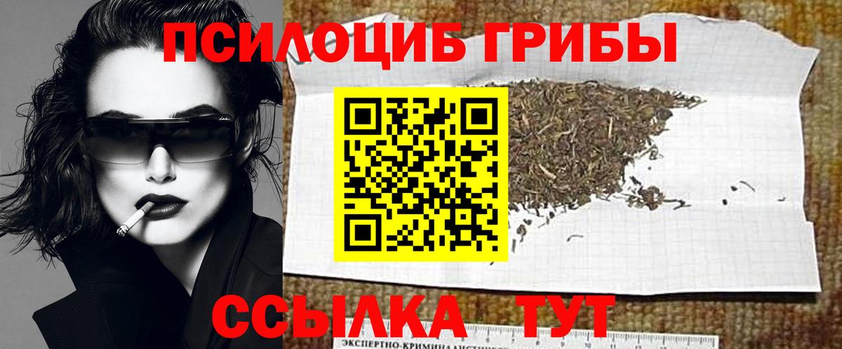 Сухой Лог  Галлюциногенные грибы Magic Shrooms  Вход с VPN 